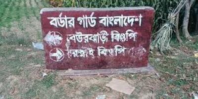 সীমান্ত দিয়ে ভারতে অনুপ্রবেশের সময় বাংলাদেশি আটক